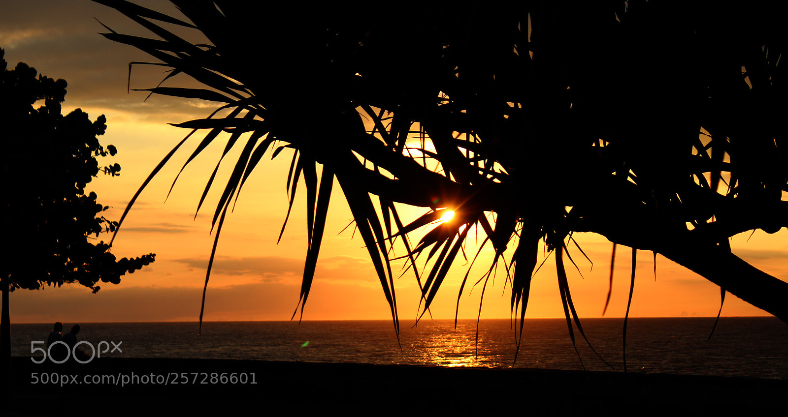 Canon EOS 600D (Rebel EOS T3i / EOS Kiss X5) sample photo. Coucher de soleil sur photography