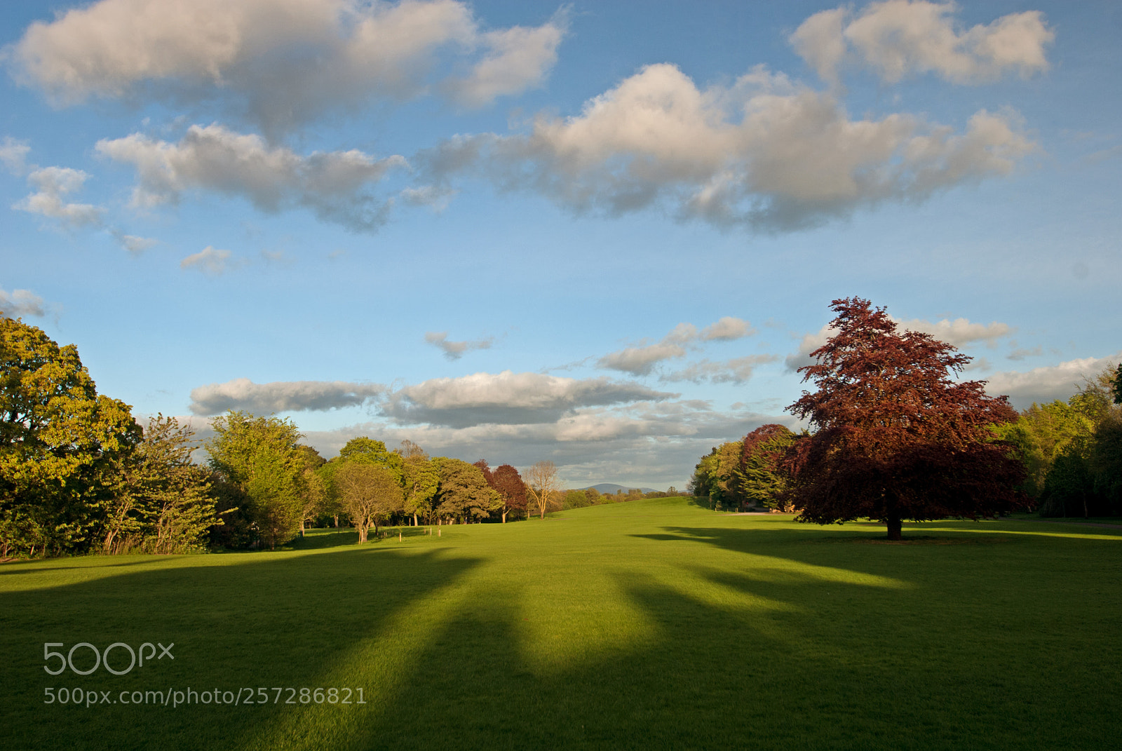Nikon D200 sample photo. Long shadows photography