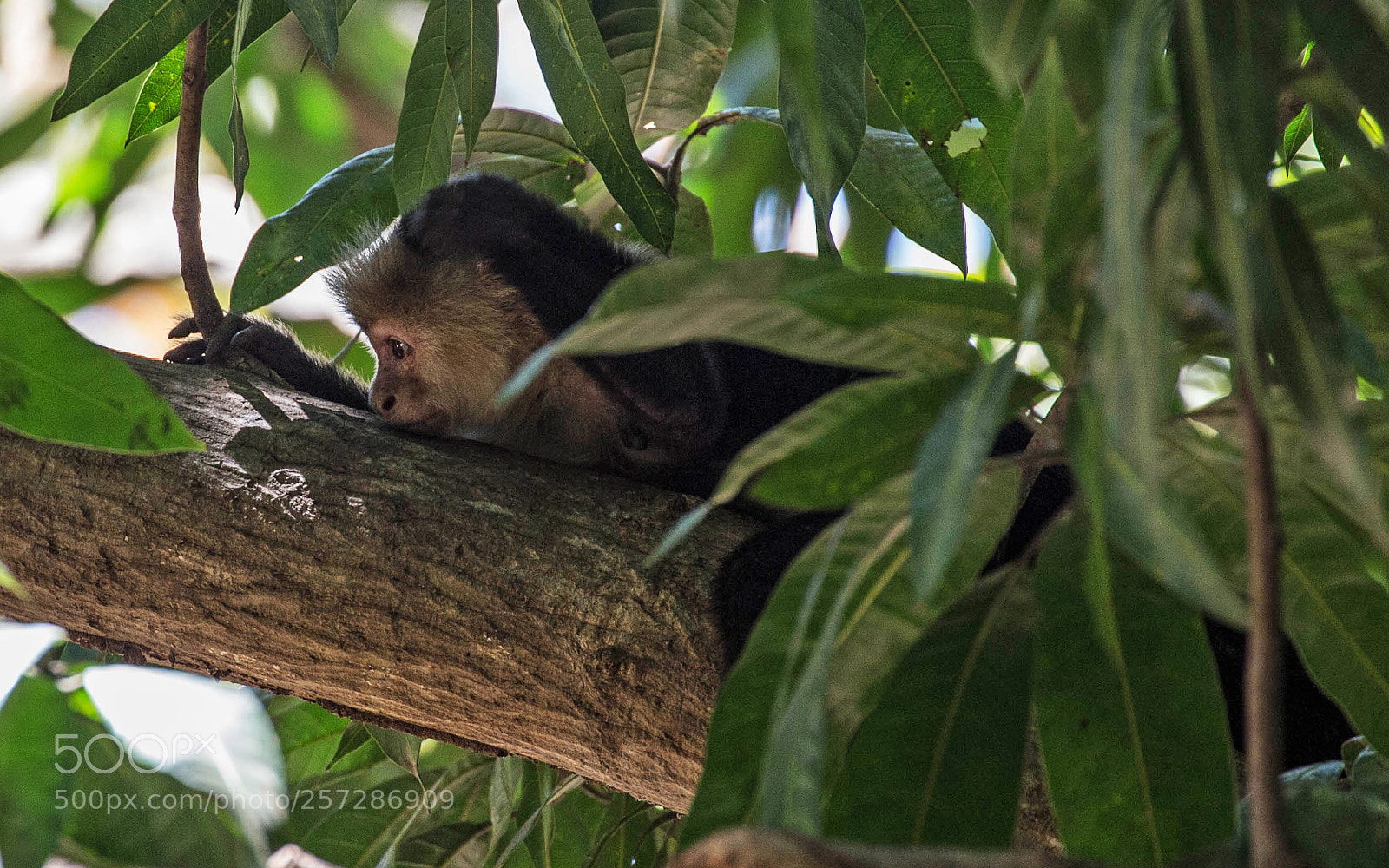 Canon EOS 6D sample photo. Daydreaming... photography