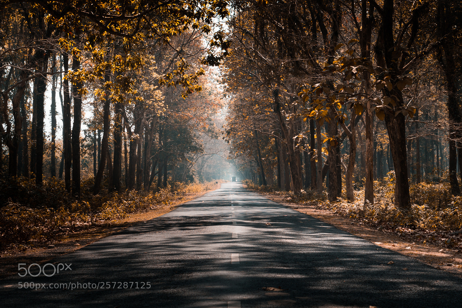 Sony a6000 sample photo. On the way photography
