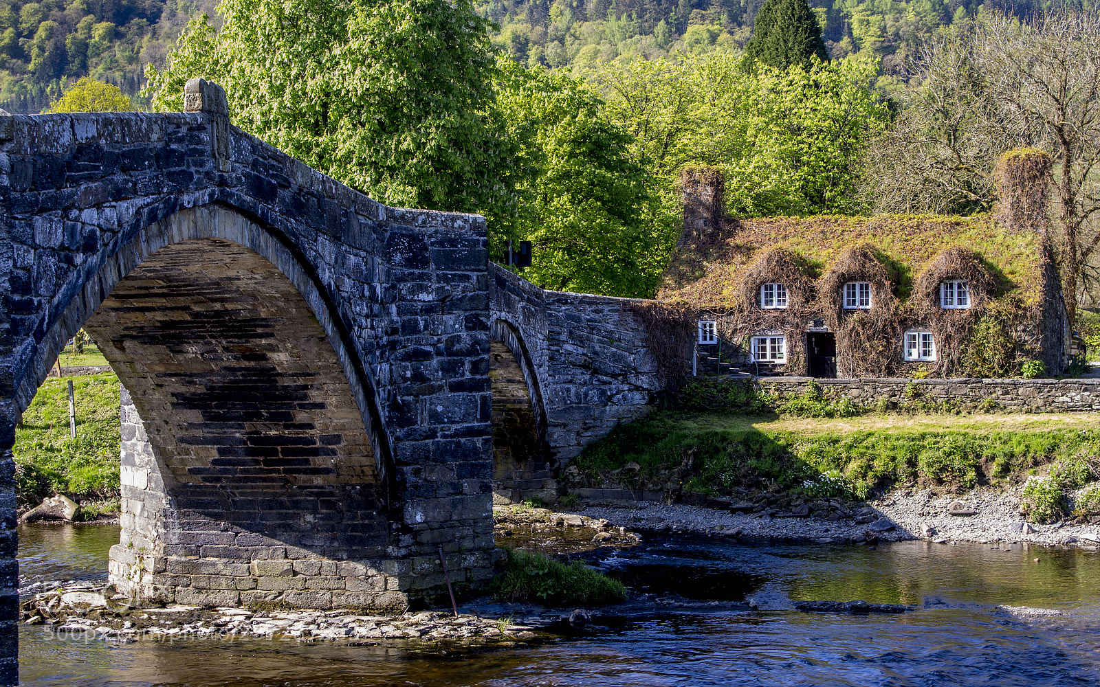 Canon EOS 700D (EOS Rebel T5i / EOS Kiss X7i) sample photo. Bridge to the teeroom photography