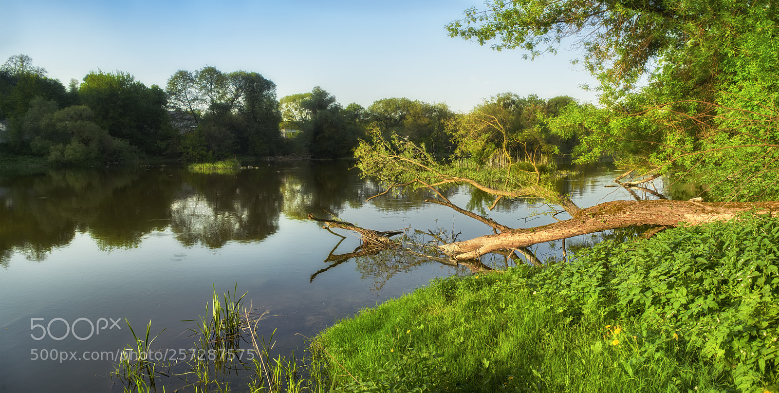 Nikon D800E sample photo. Evening photography