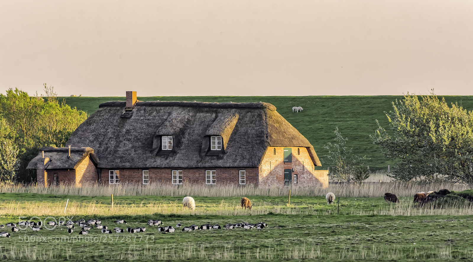 Nikon D7100 sample photo. Haus am deich photography