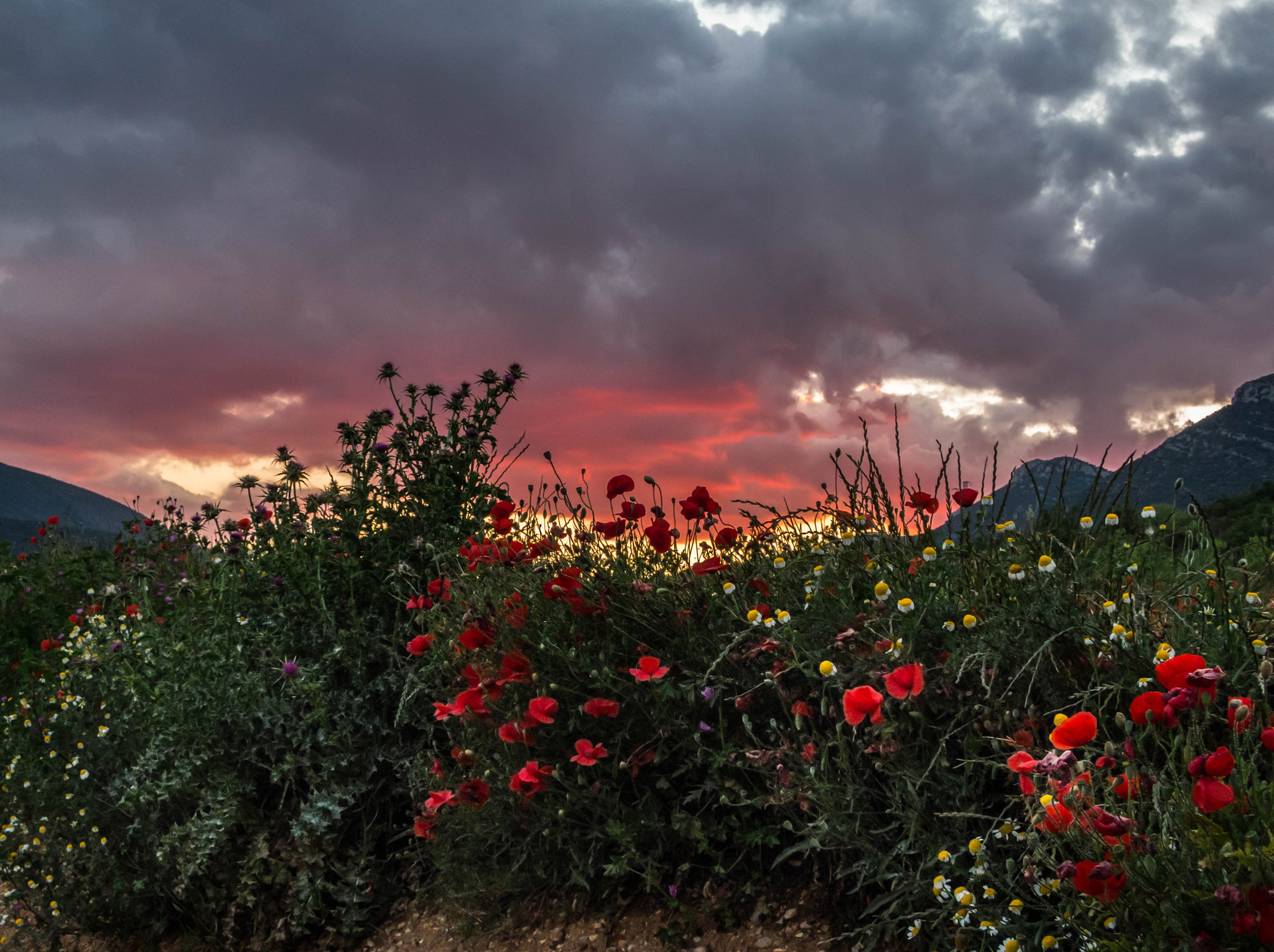 Canon PowerShot S120 sample photo. Atardecer en el montsec photography