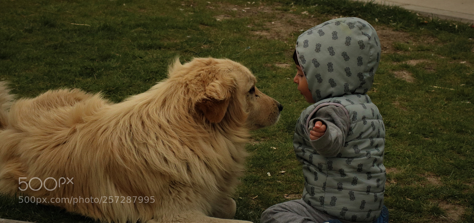 Canon EOS 750D (EOS Rebel T6i / EOS Kiss X8i) sample photo. Img photography