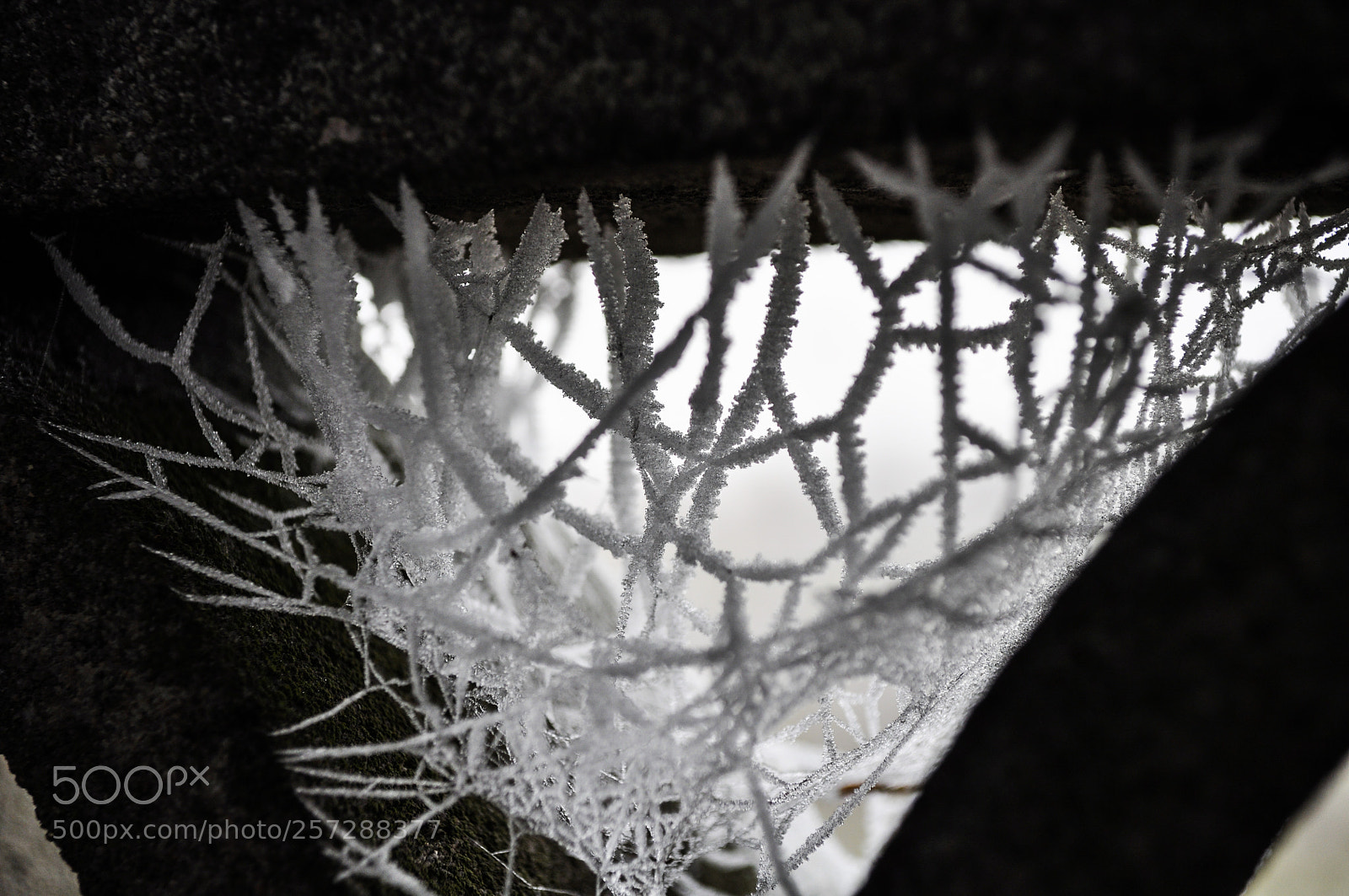 Nikon D5000 sample photo. Vbbyn () photography