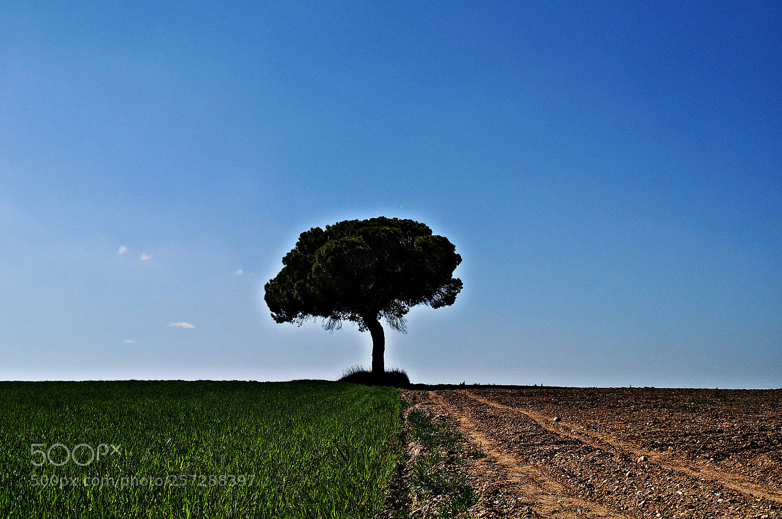 Nikon D5000 sample photo. Vbbyuuo () photography
