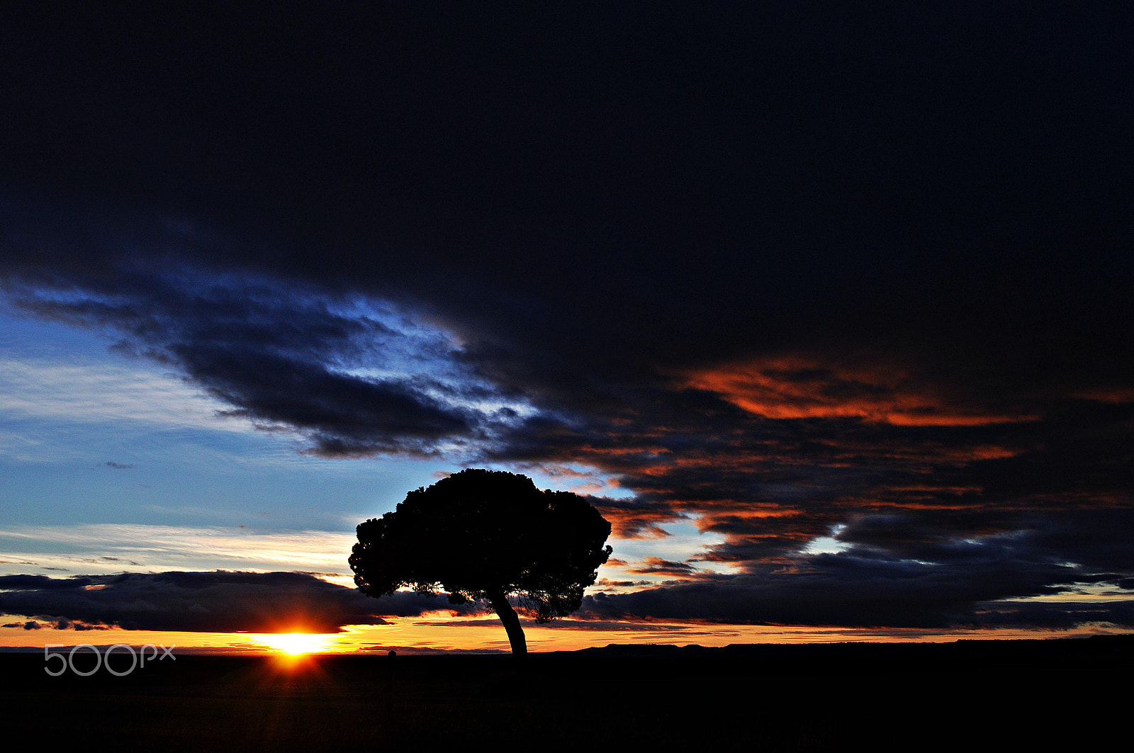 Nikon D5000 sample photo. Vbbyyo () photography