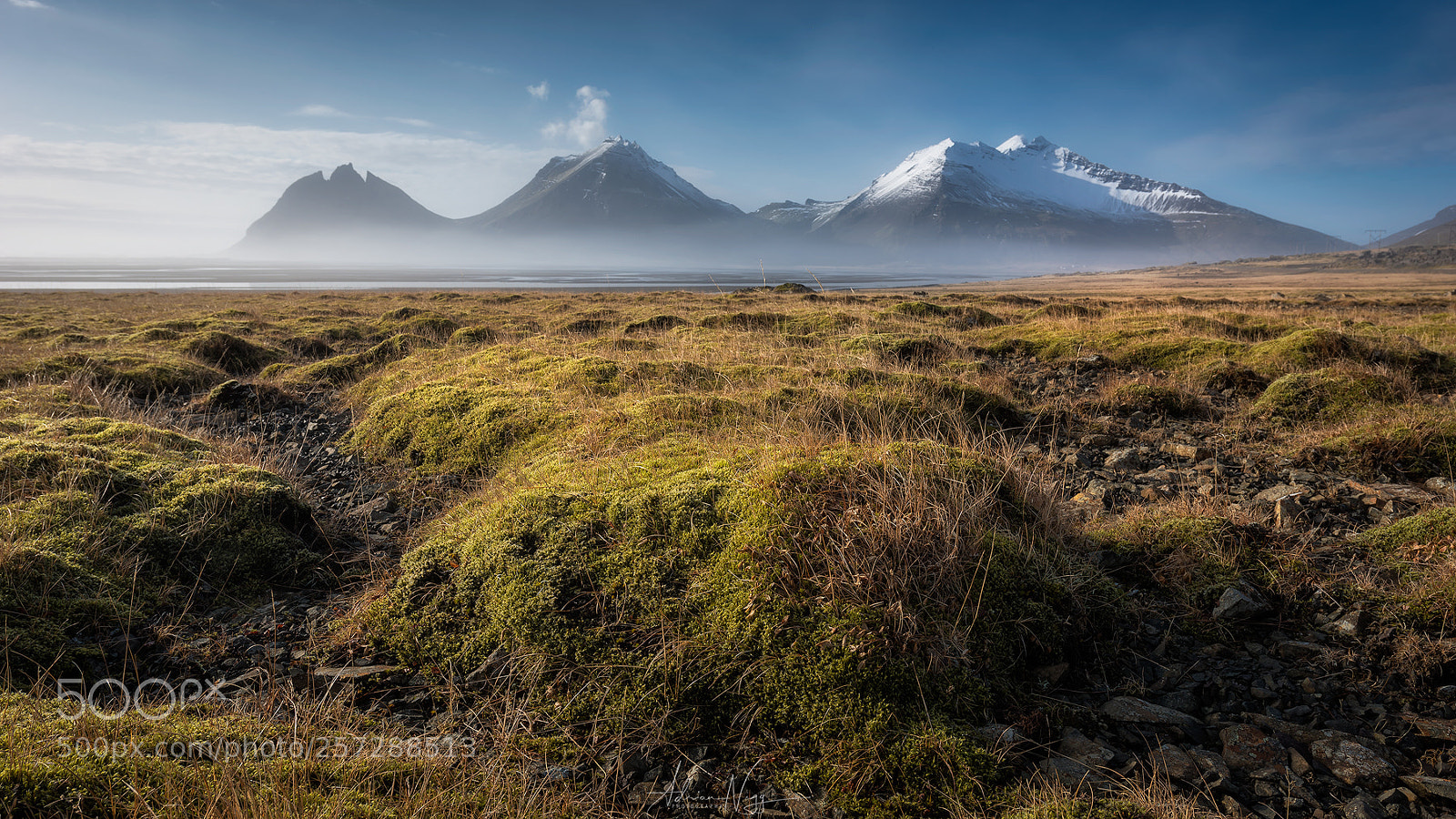 Nikon D750 sample photo. Moos landscape, iceland photography