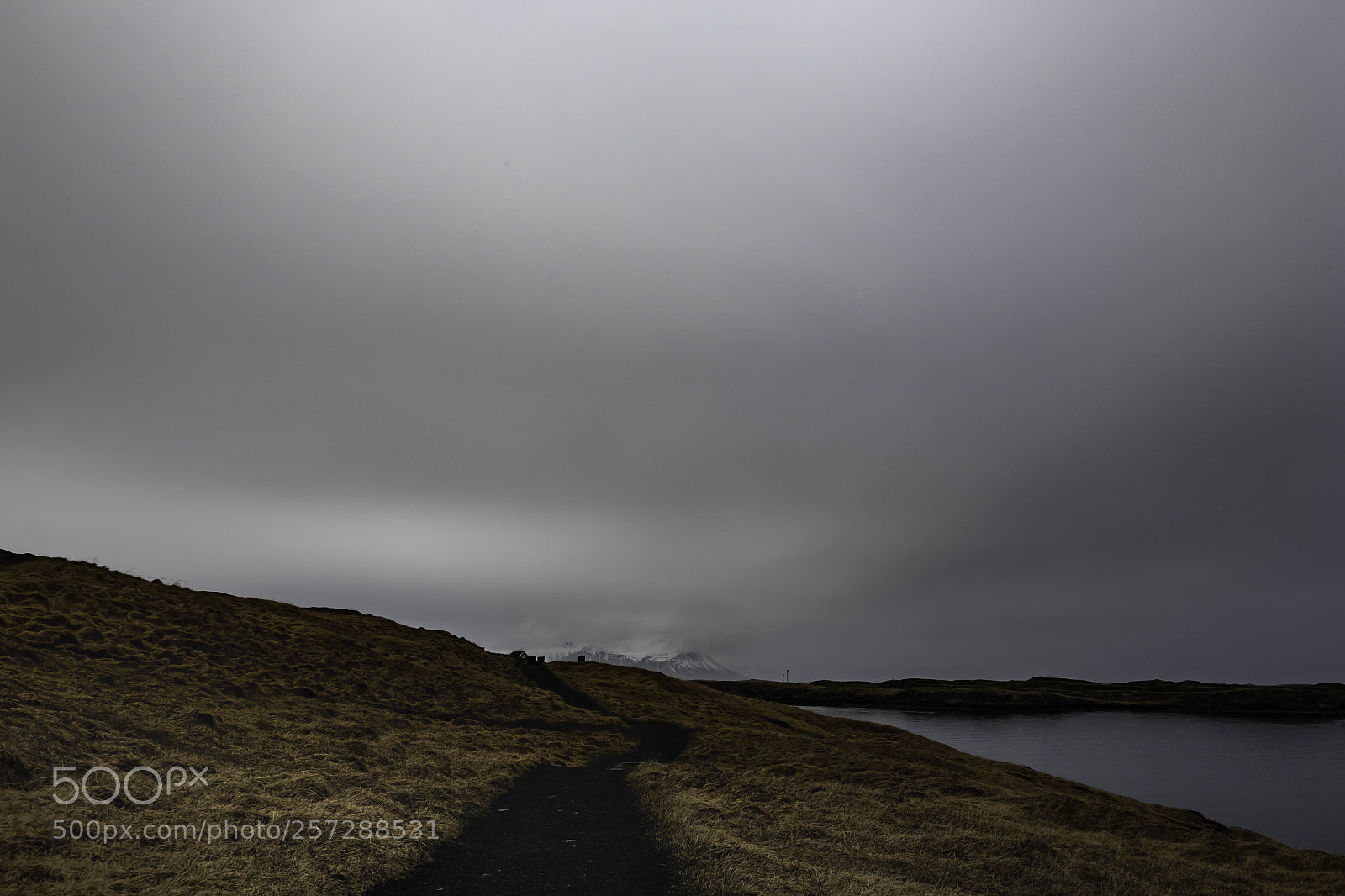 Canon EOS 6D sample photo. The path and the photography