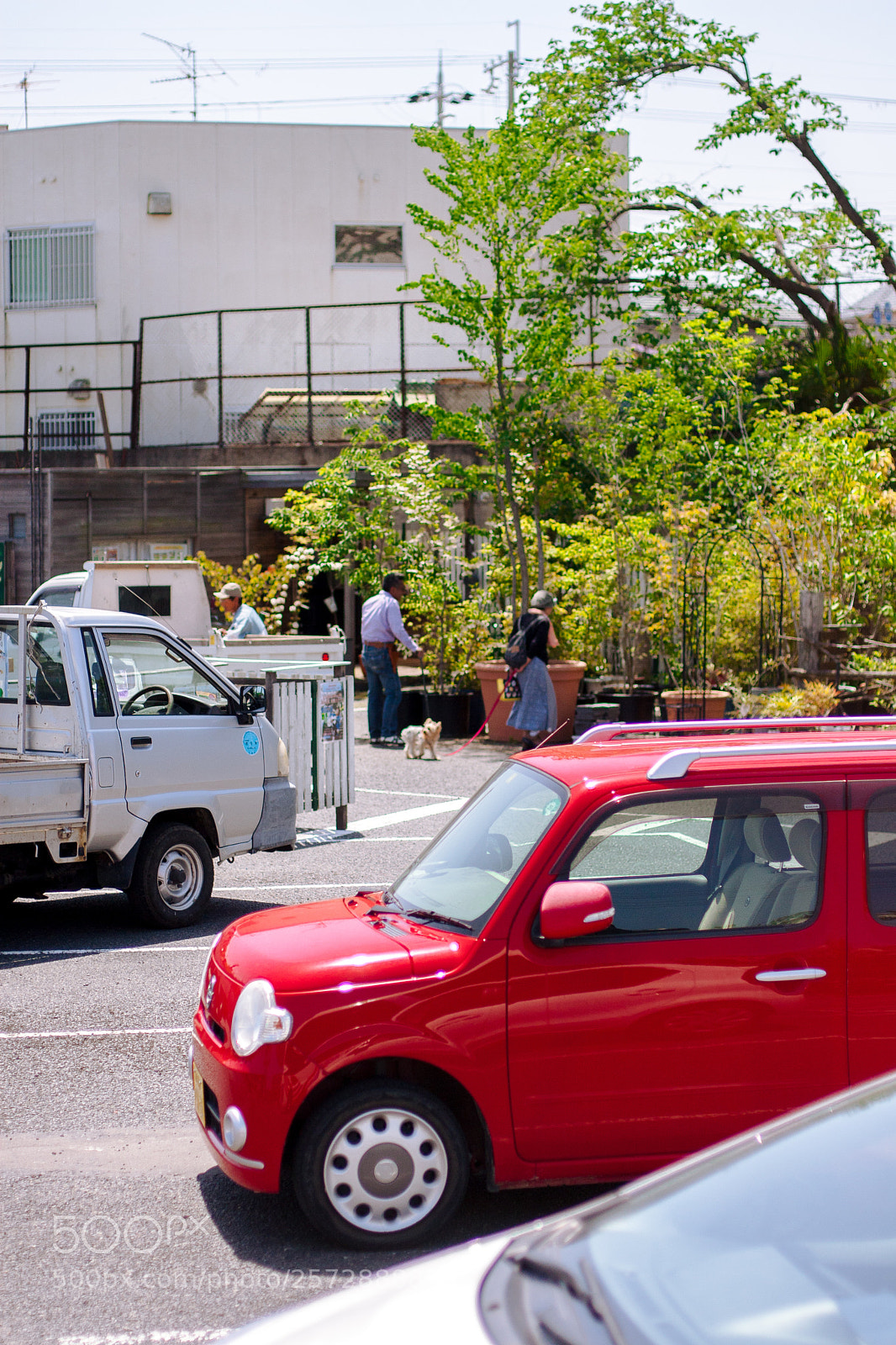 Canon EOS 30D sample photo. R photography