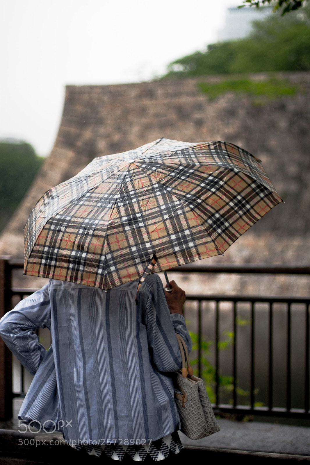 Canon EOS 30D sample photo. Burblurry photography