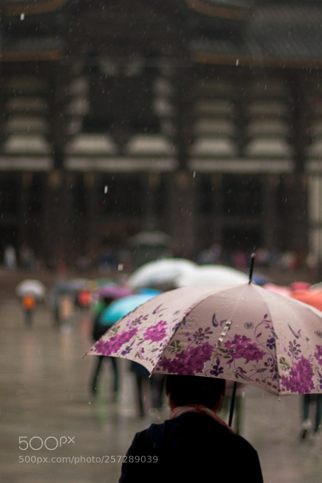 Canon EOS 30D sample photo. Rain pain photography
