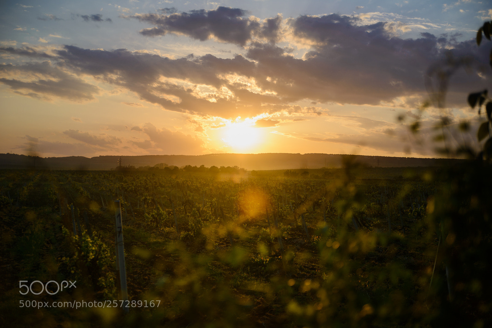 Nikon D610 sample photo. 1275080.jpg photography