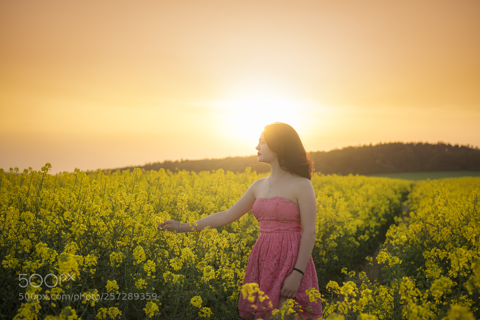 Nikon D750 sample photo. Woman in a rapeseed photography