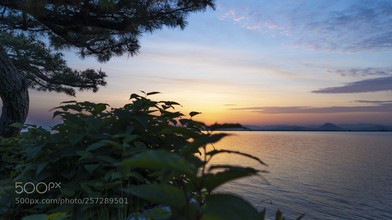 Sony a7R III sample photo. 琵琶湖日出 photography