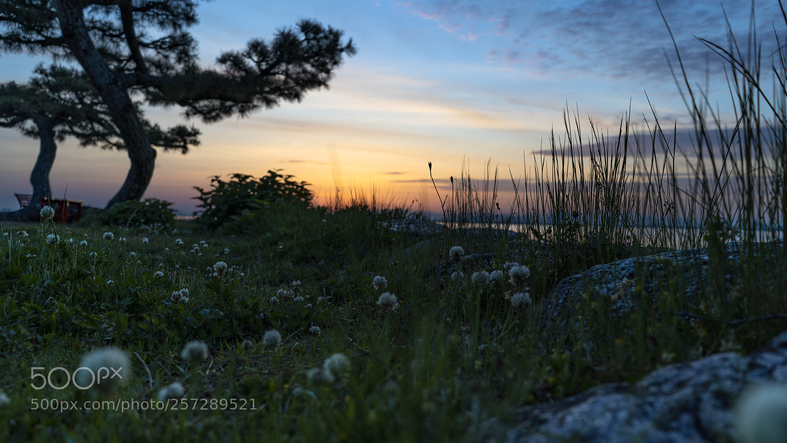 Sony a7R III sample photo. 琵琶湖日出 photography