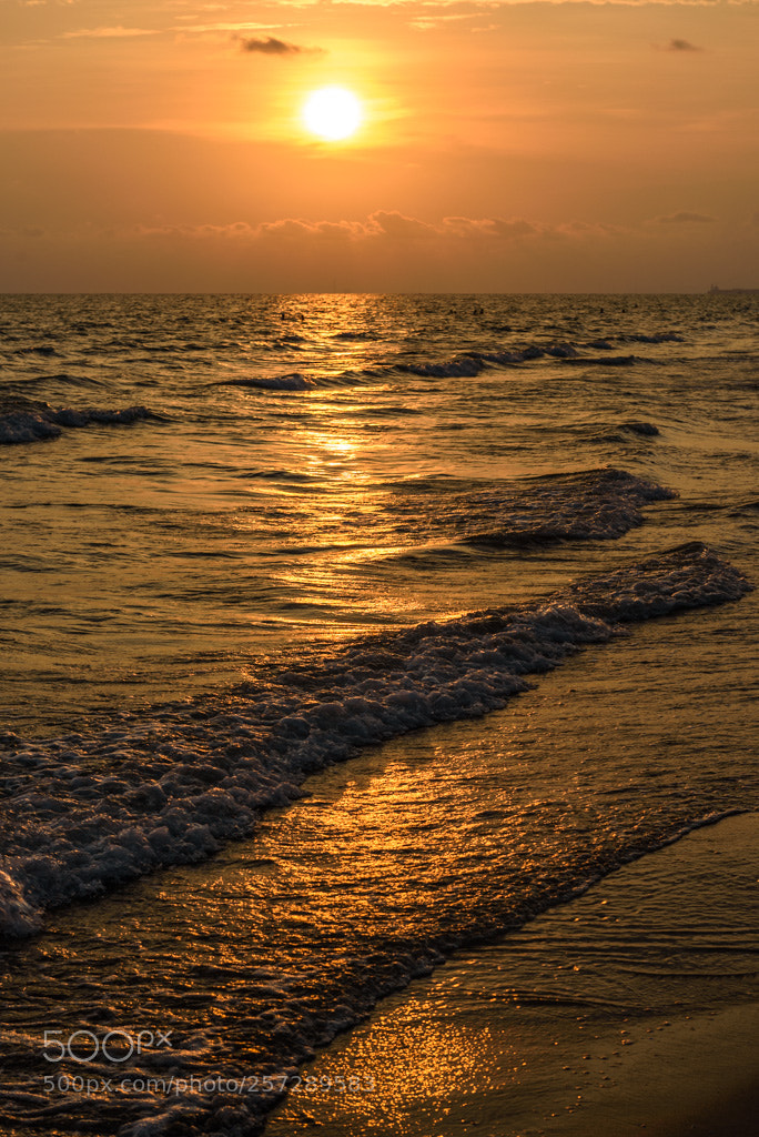 Nikon D750 sample photo. Goldlight photography