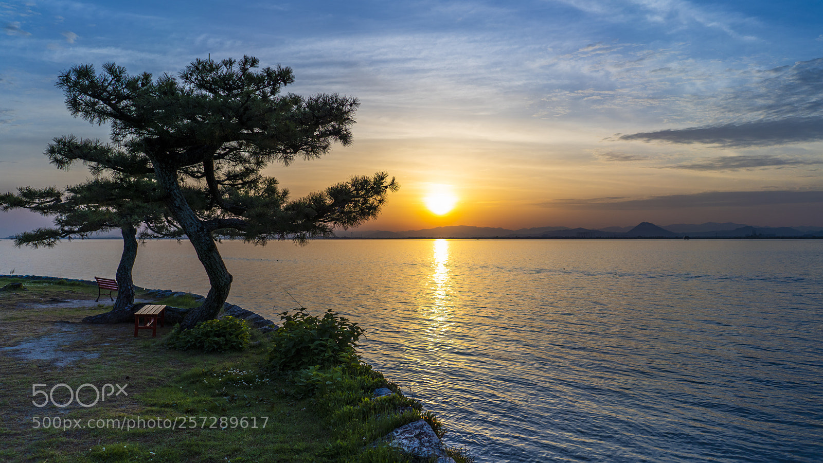 Sony a7R III sample photo. 6.jpg photography