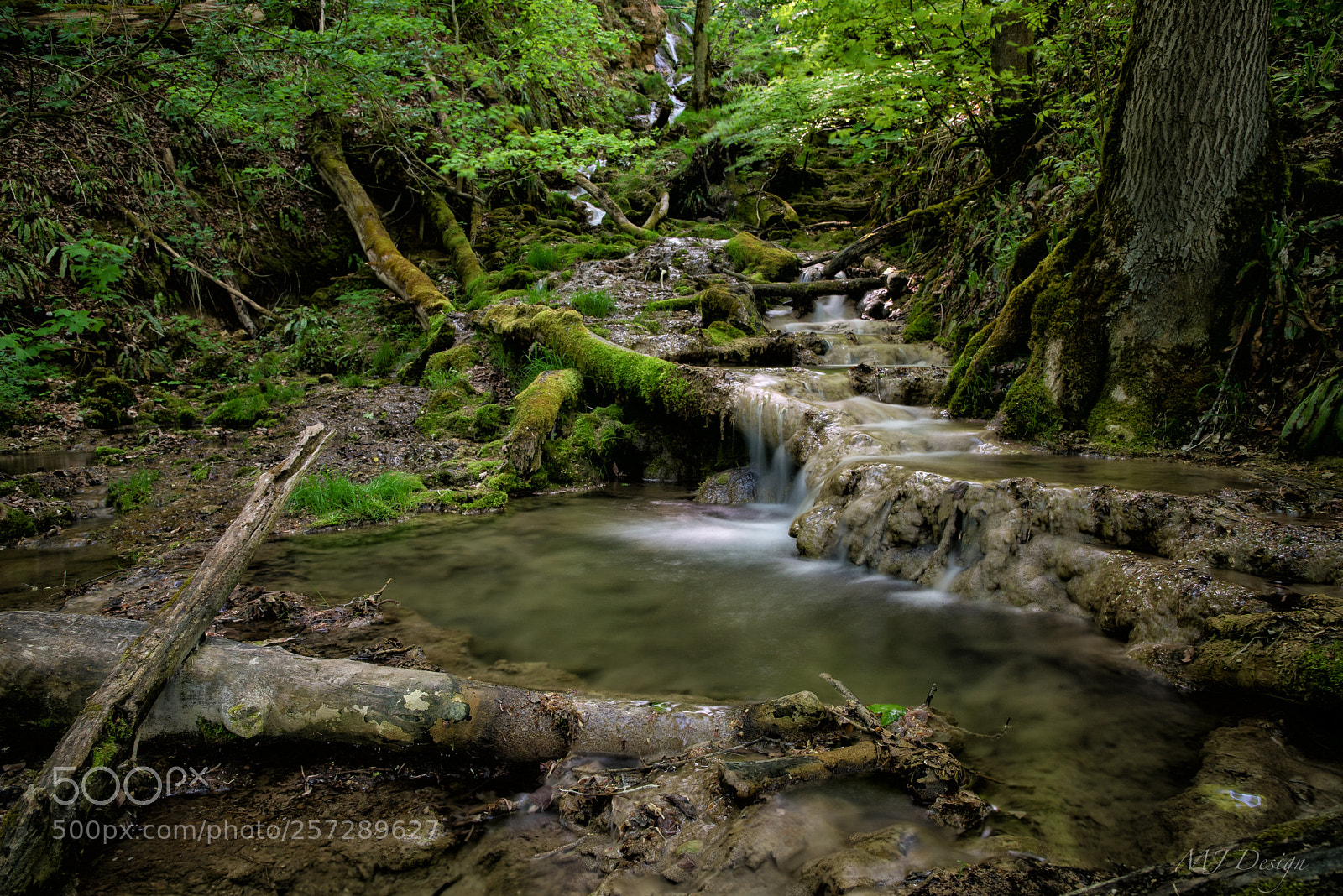 Nikon D750 sample photo. Silence photography