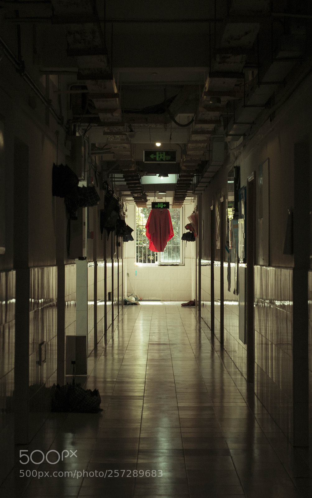 Nikon D800 sample photo. Xrf photography