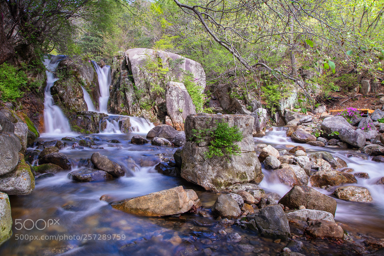 Nikon D810 sample photo. A small waterfall photography