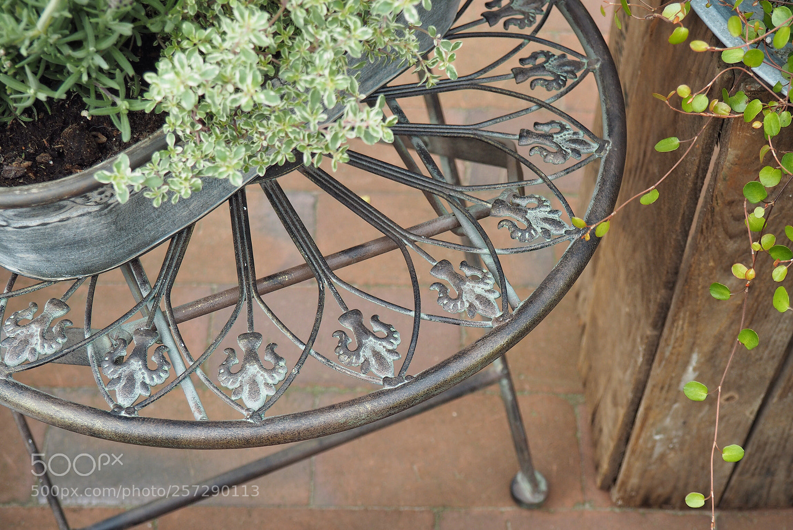 Olympus PEN E-PL7 sample photo. In the garden photography