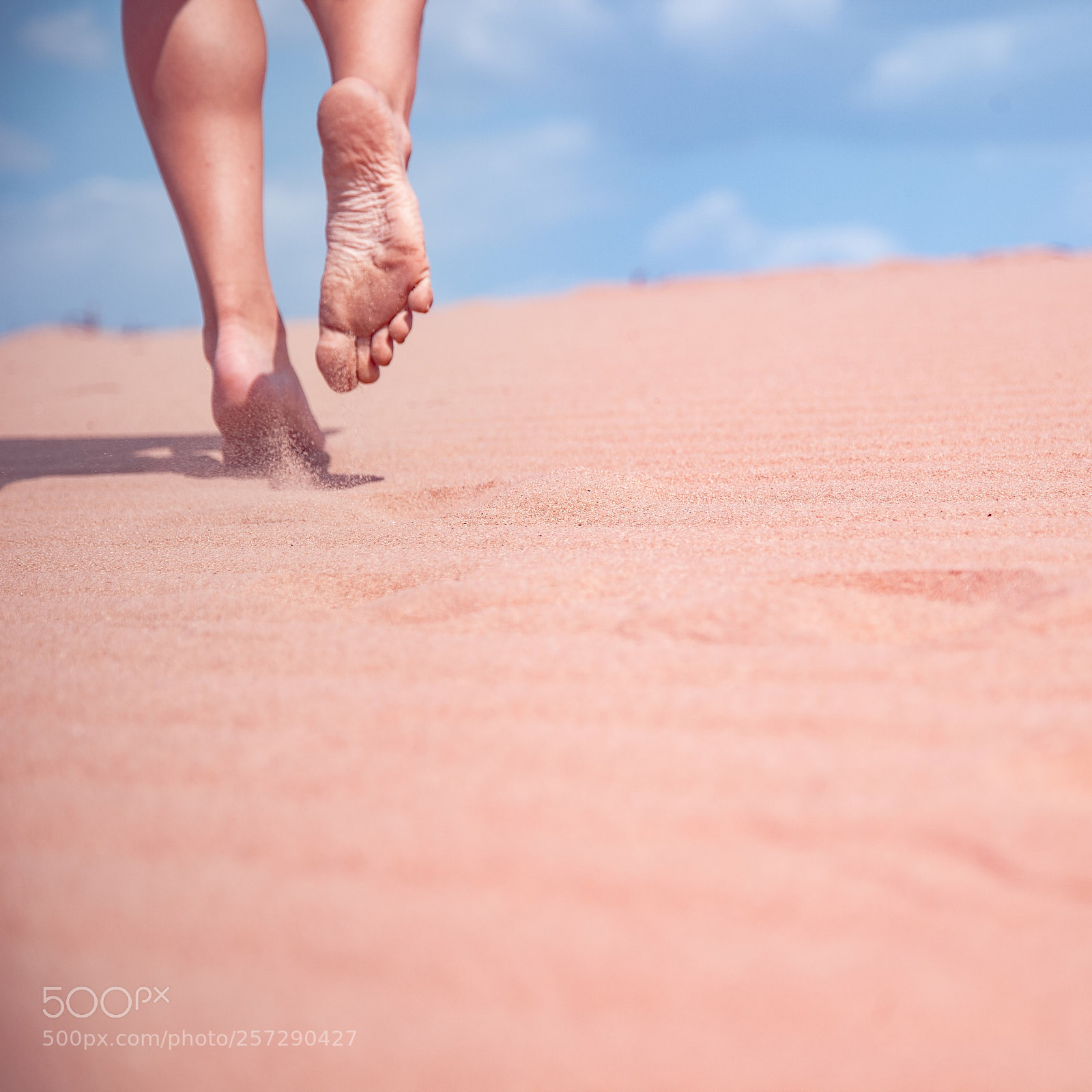 Canon EOS 5D Mark II sample photo. Over the sand  photography