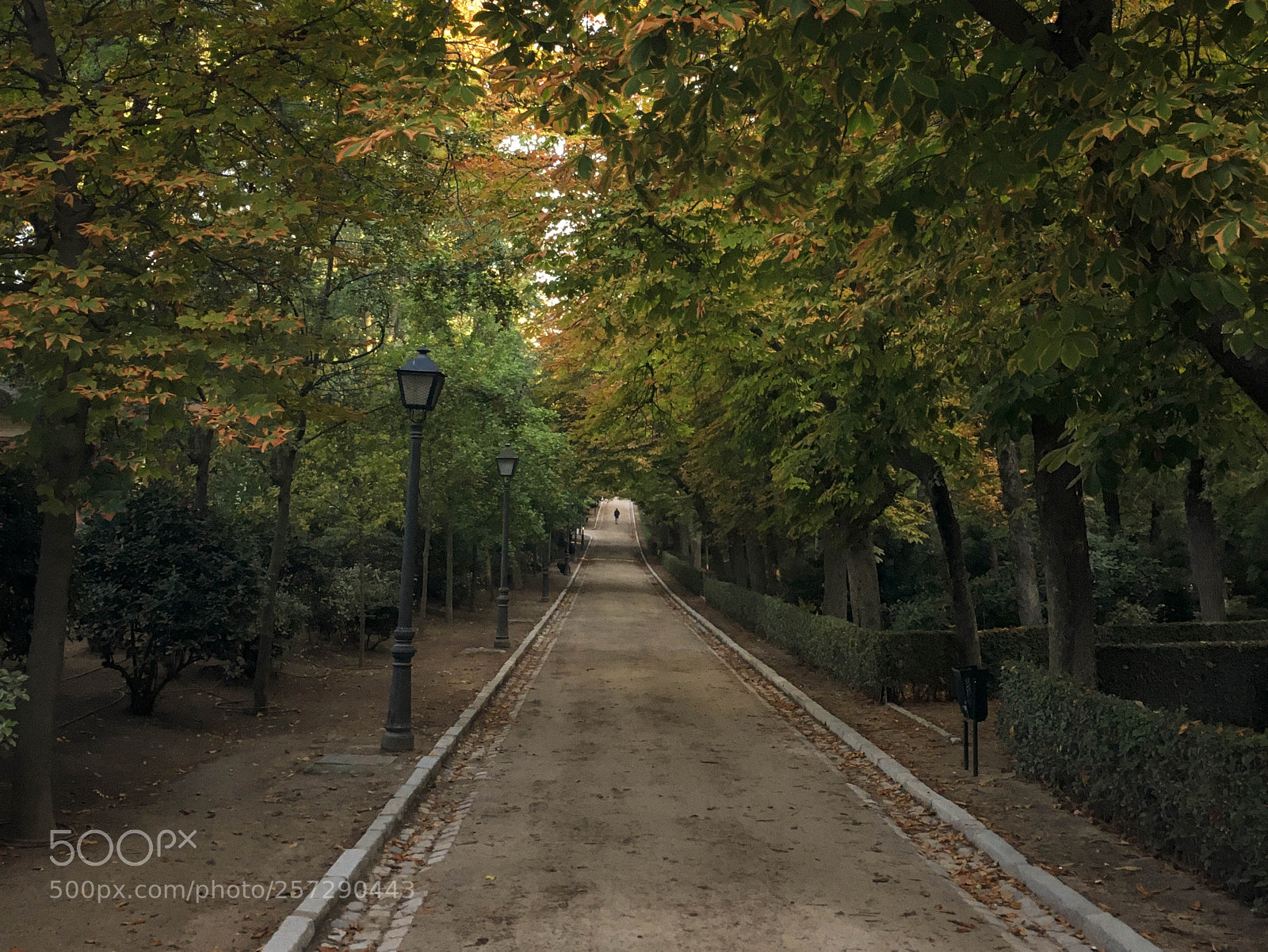 Apple iPhone 6s sample photo. Prque del retiro, madrid photography