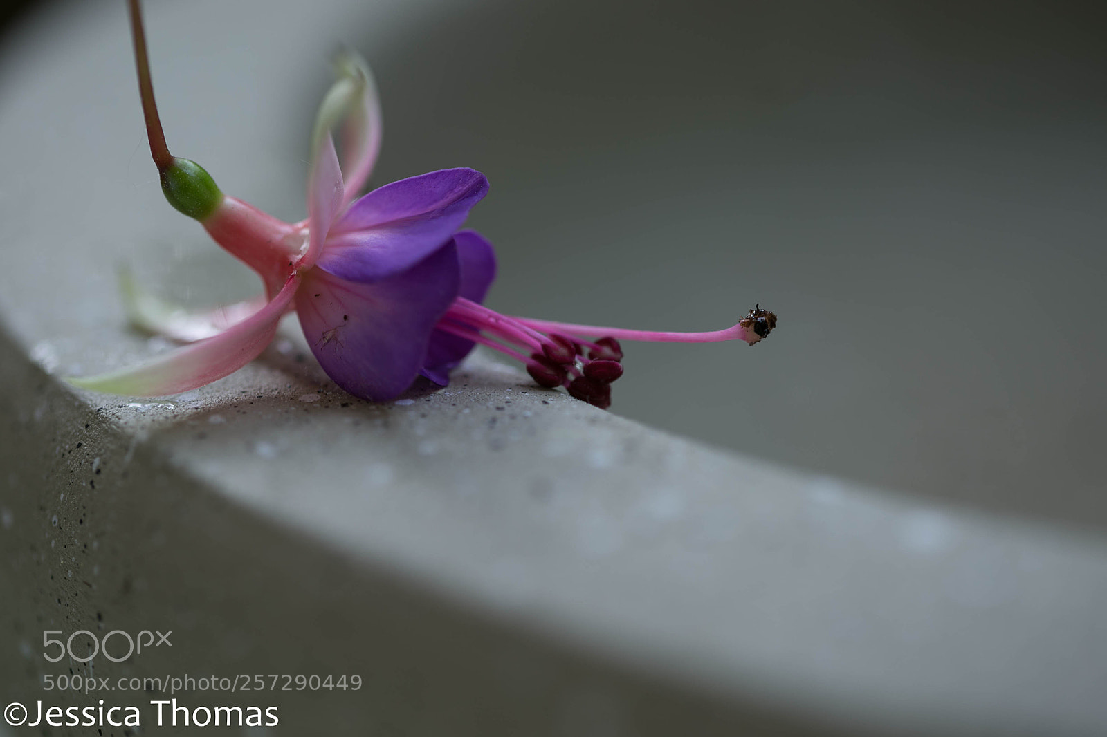 Canon EOS 6D sample photo. Untitled photography