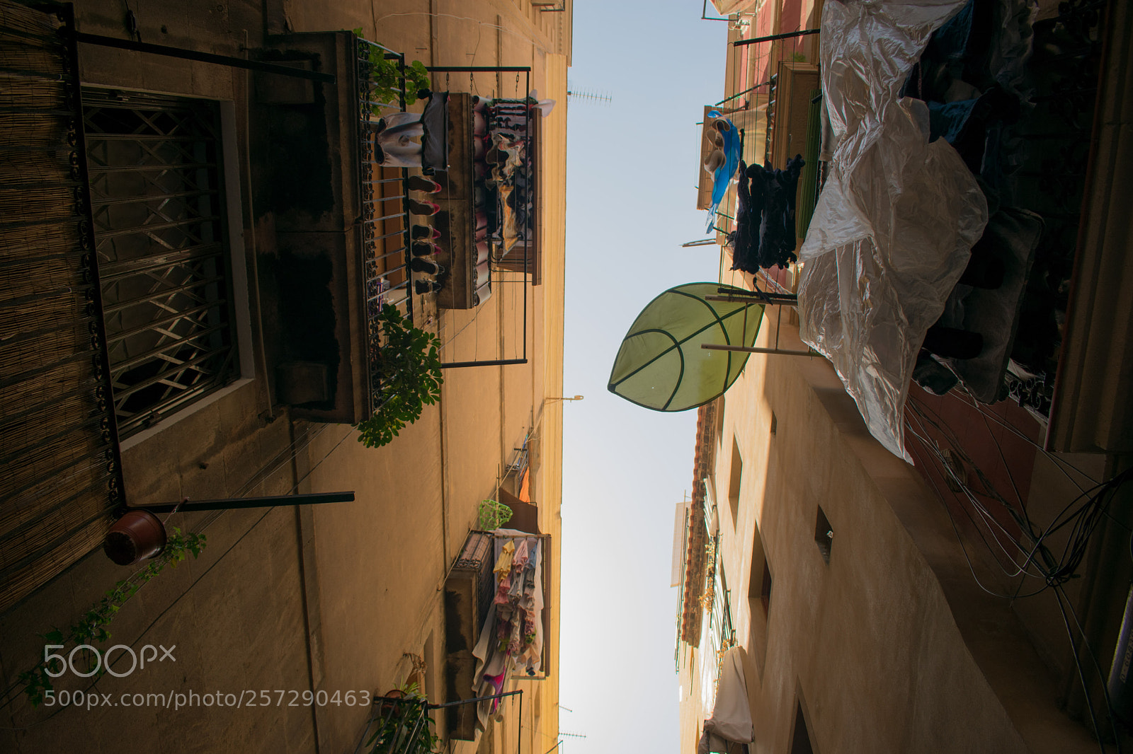 Nikon D3400 sample photo. Upside view photography