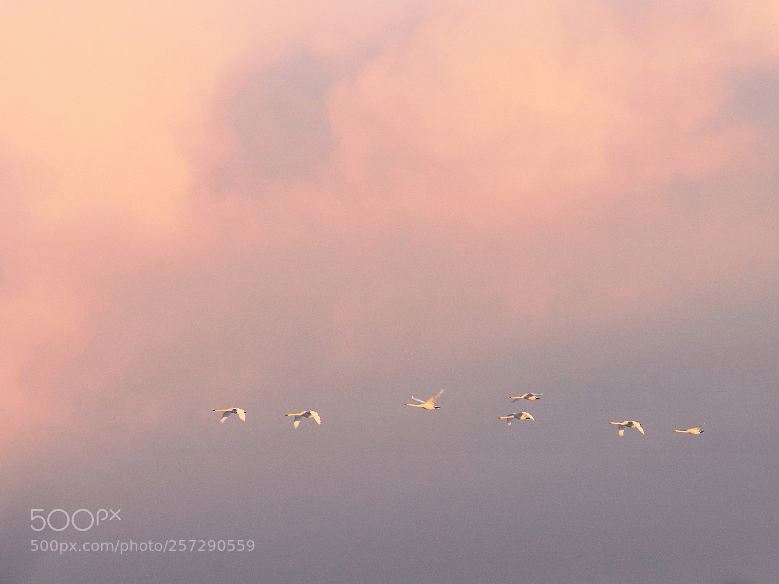Nikon D610 sample photo. Travellers photography