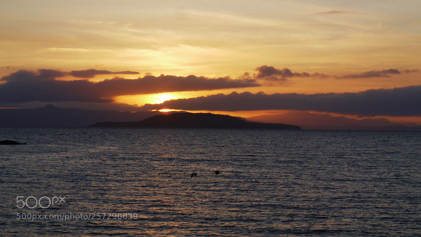 Panasonic Lumix DMC-G1 sample photo. P photography