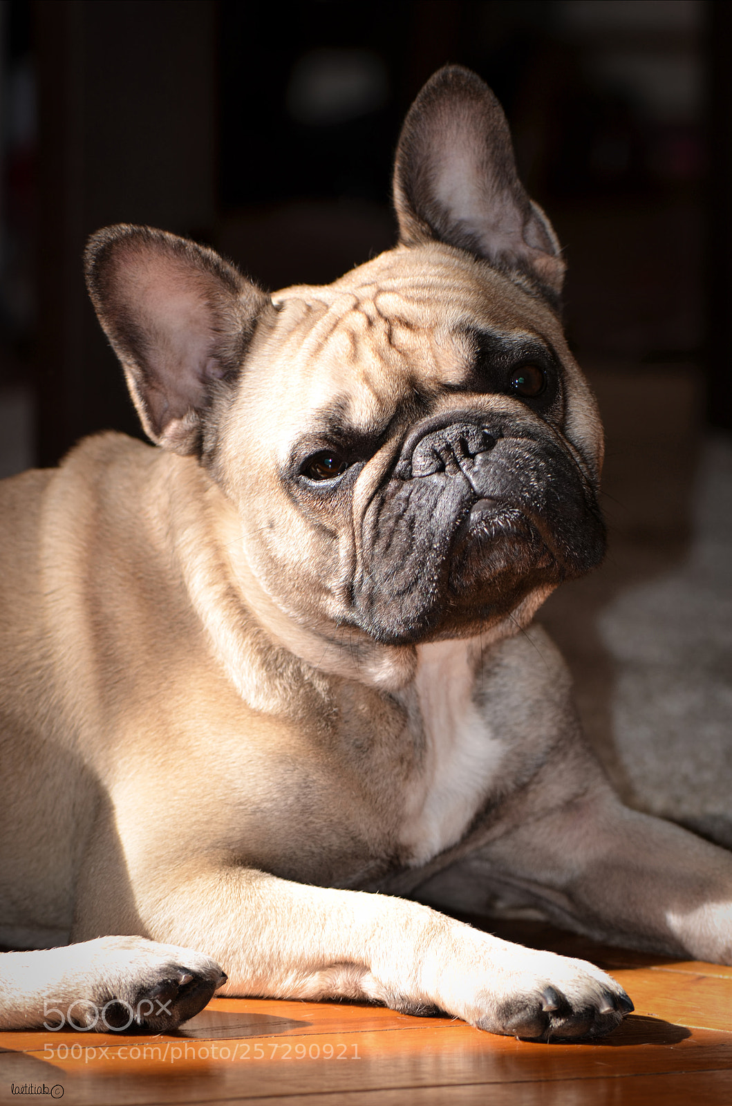 Nikon D7000 sample photo. Bain de soleil photography