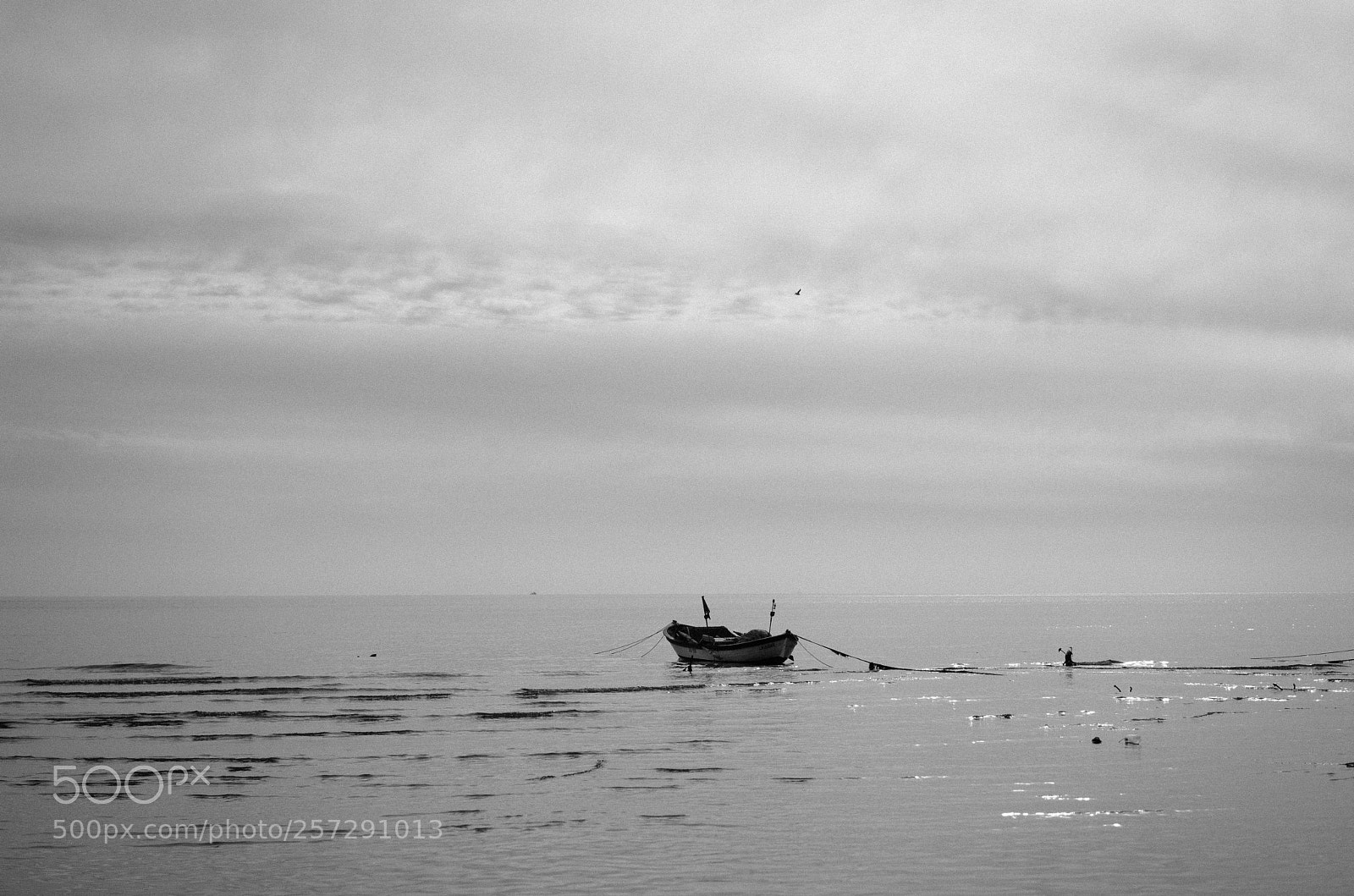 Sony a7 sample photo. Untitled photography