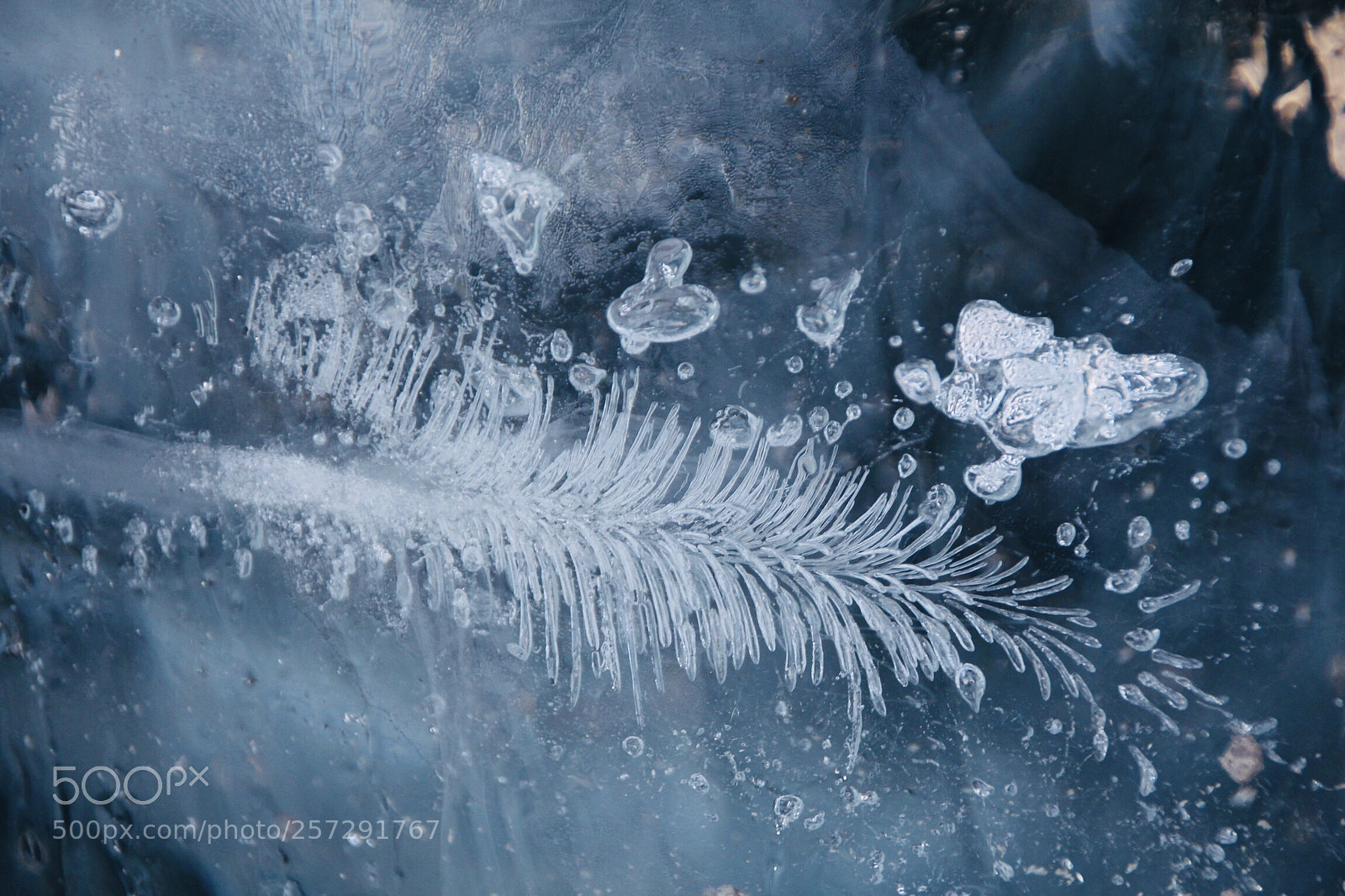 Canon EOS 700D (EOS Rebel T5i / EOS Kiss X7i) sample photo. Ice flower photography