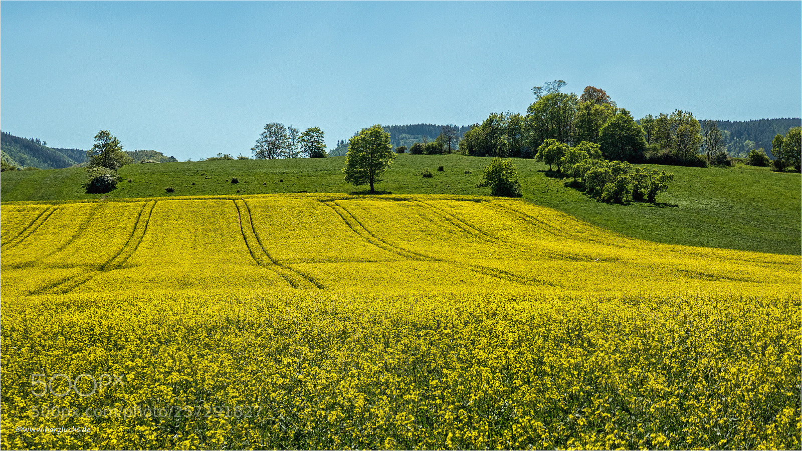 Panasonic DMC-TZ101 sample photo. Wenn der raps bl photography