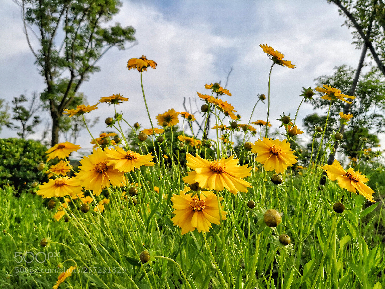 HUAWEI Mate 10 Pro sample photo. Untitled photography