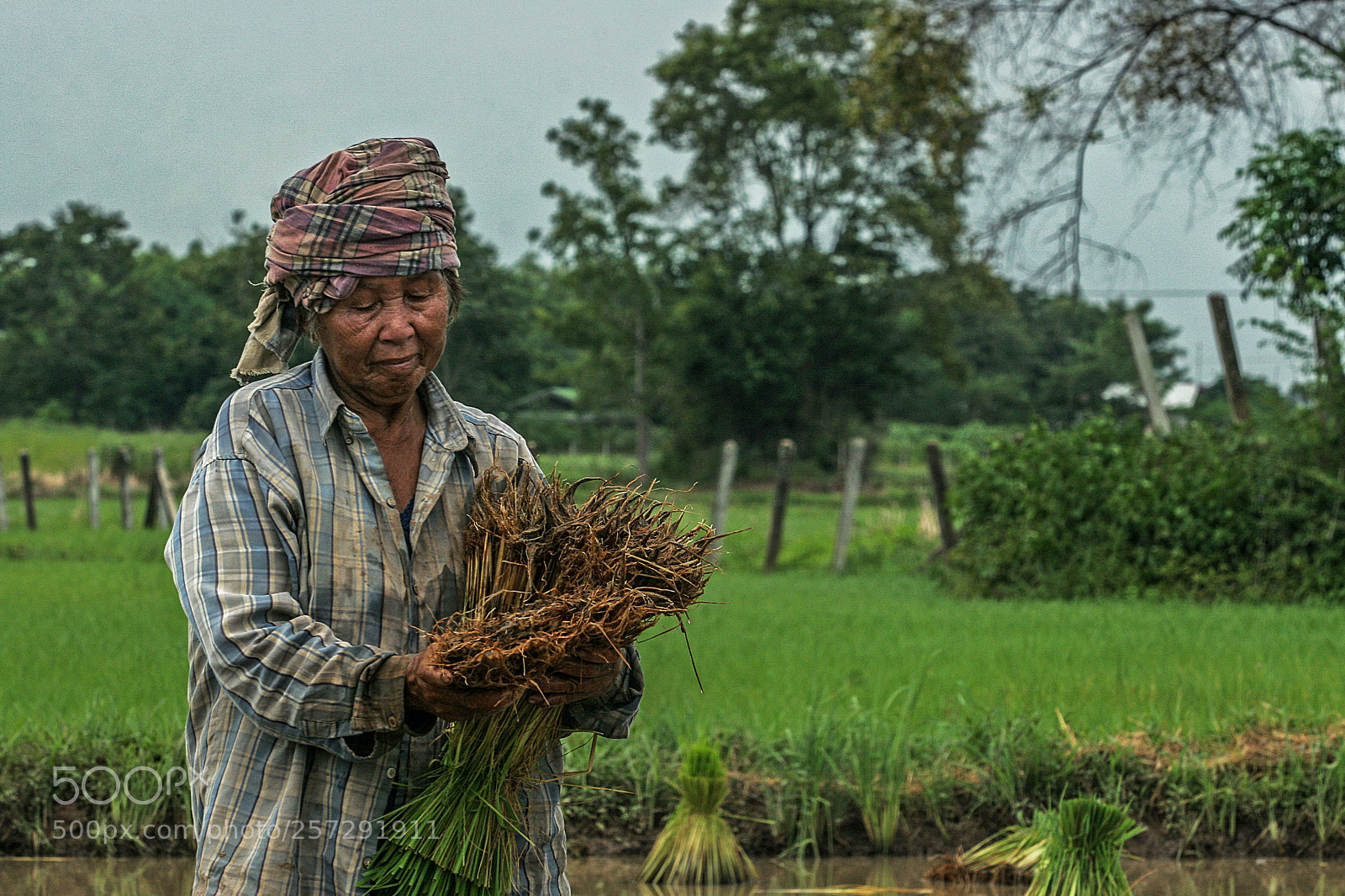Canon EOS 20D sample photo. Remembrances photography