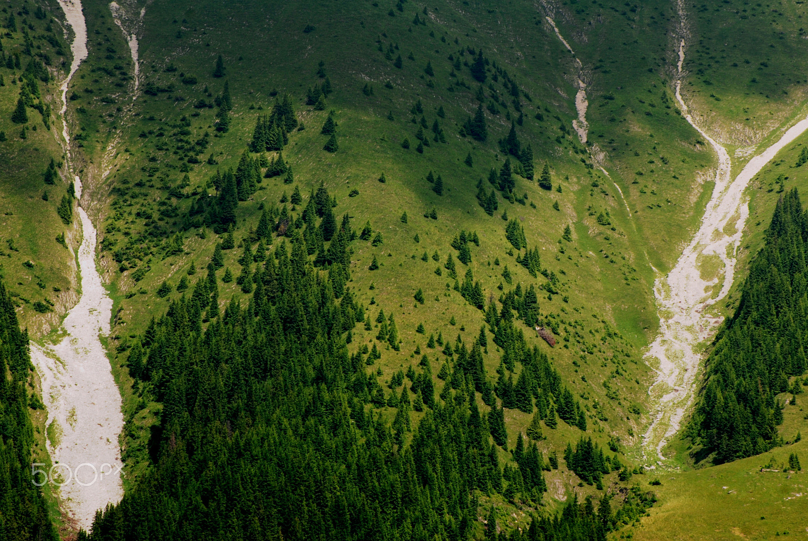 Nikon D80 sample photo. Piatra craiului photography