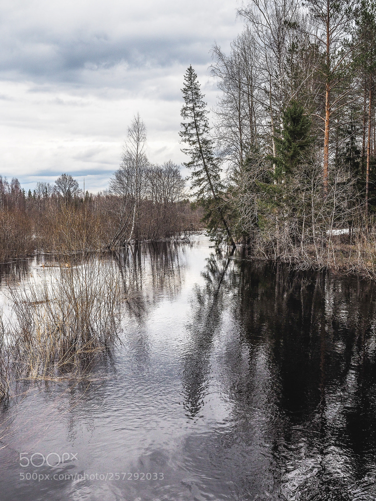 Olympus OM-D E-M5 II sample photo. Landscape with a drunk photography