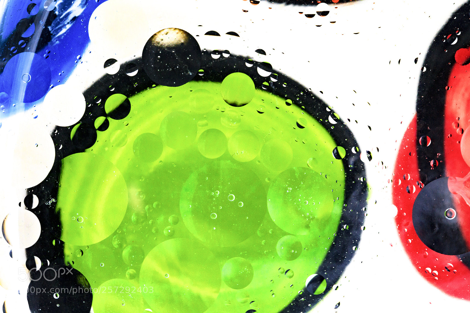 Canon EOS 5D Mark II sample photo. Green blue and red photography