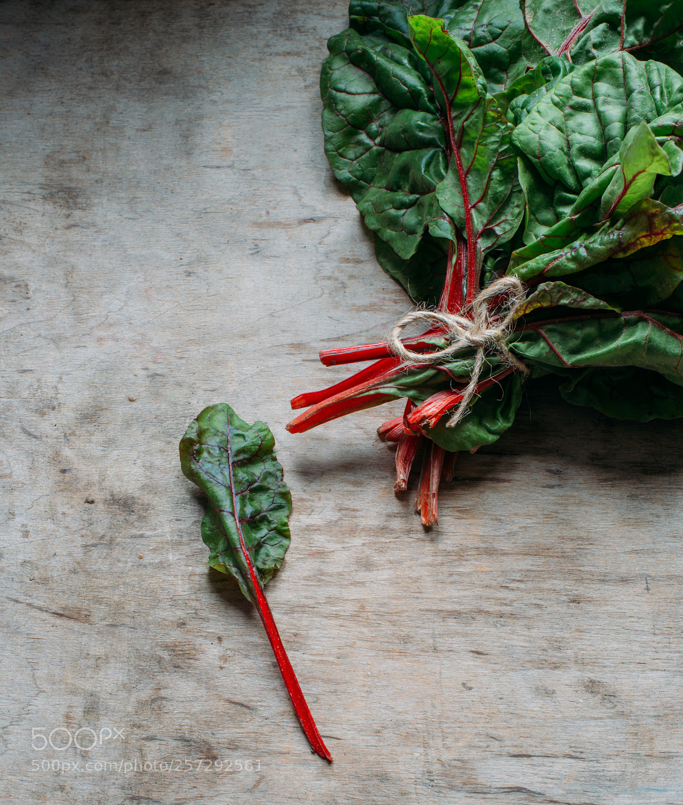 Nikon D800E sample photo. Swiss chard photography