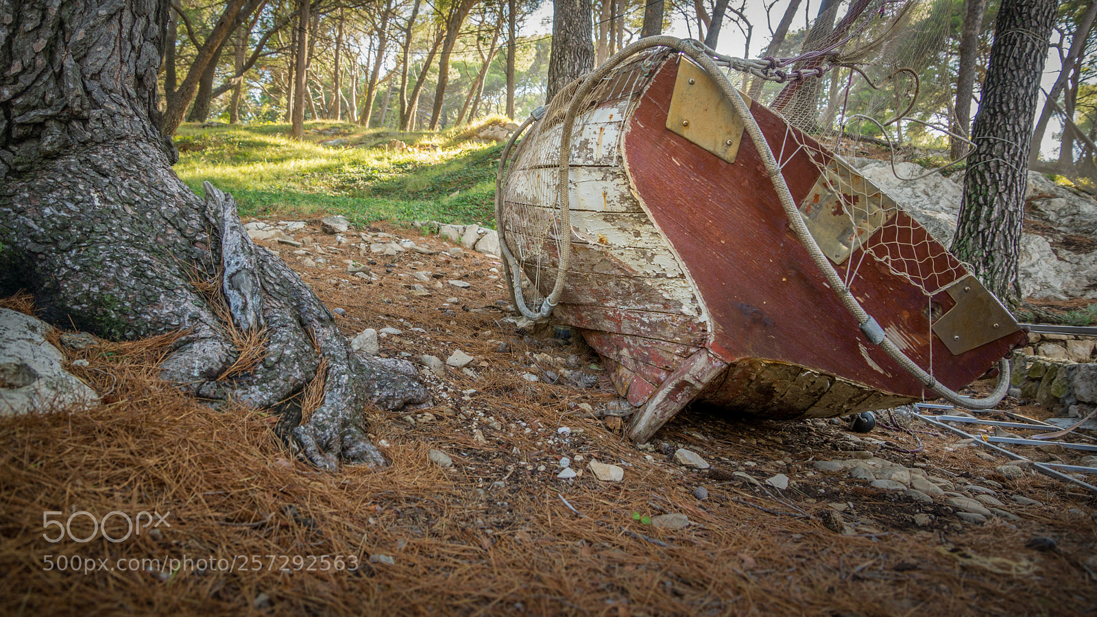 Sony SLT-A77 sample photo. Stranded photography