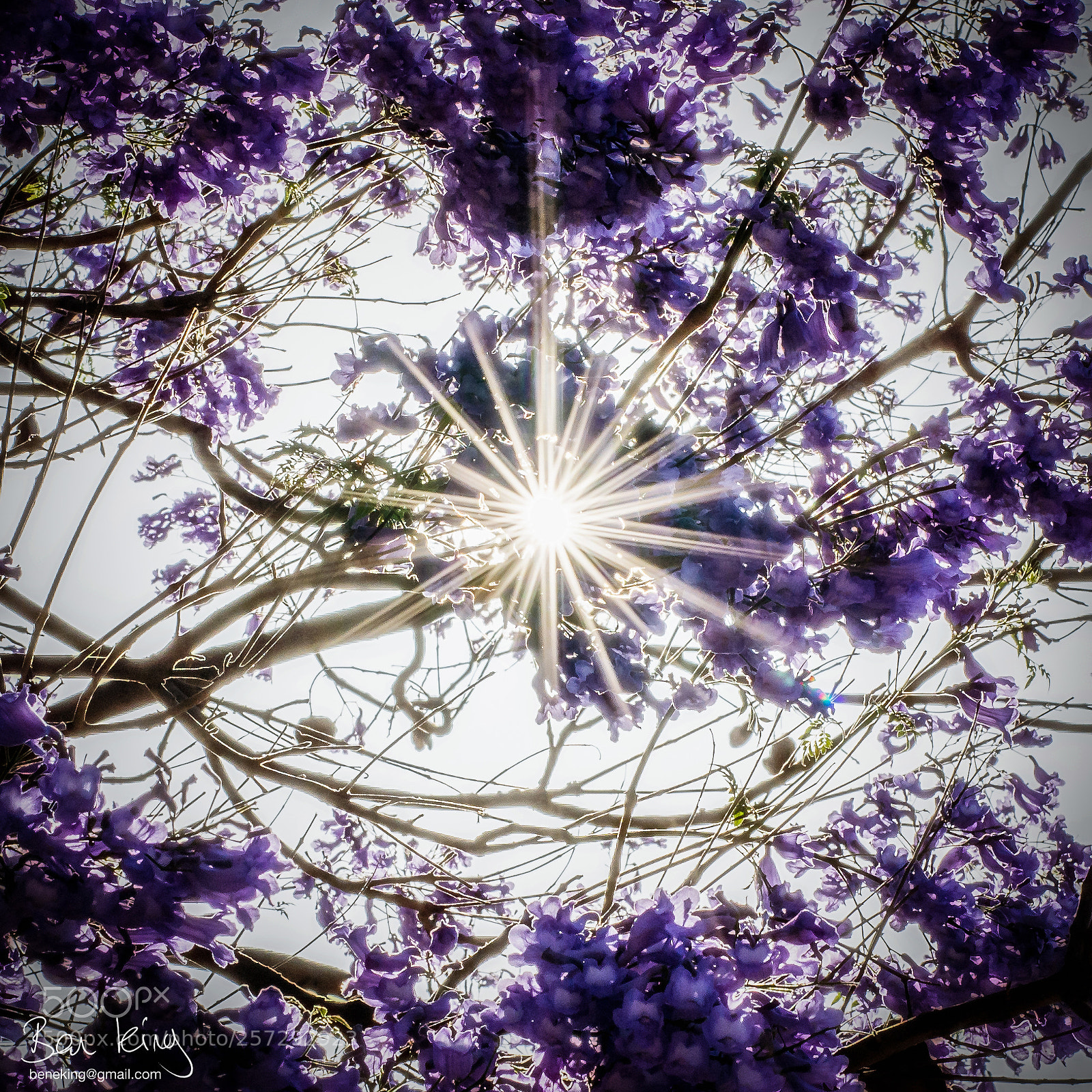 Nikon D7200 sample photo. Sunburst photography
