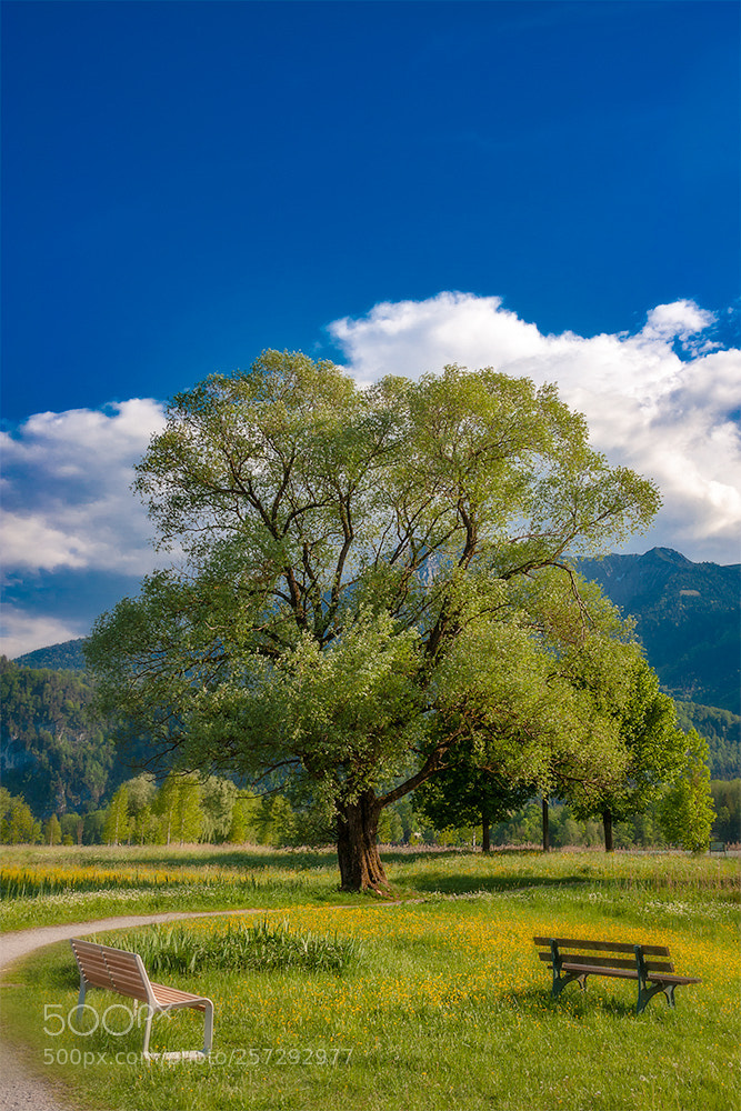 Canon EOS 40D sample photo. Landscape in bavaria photography