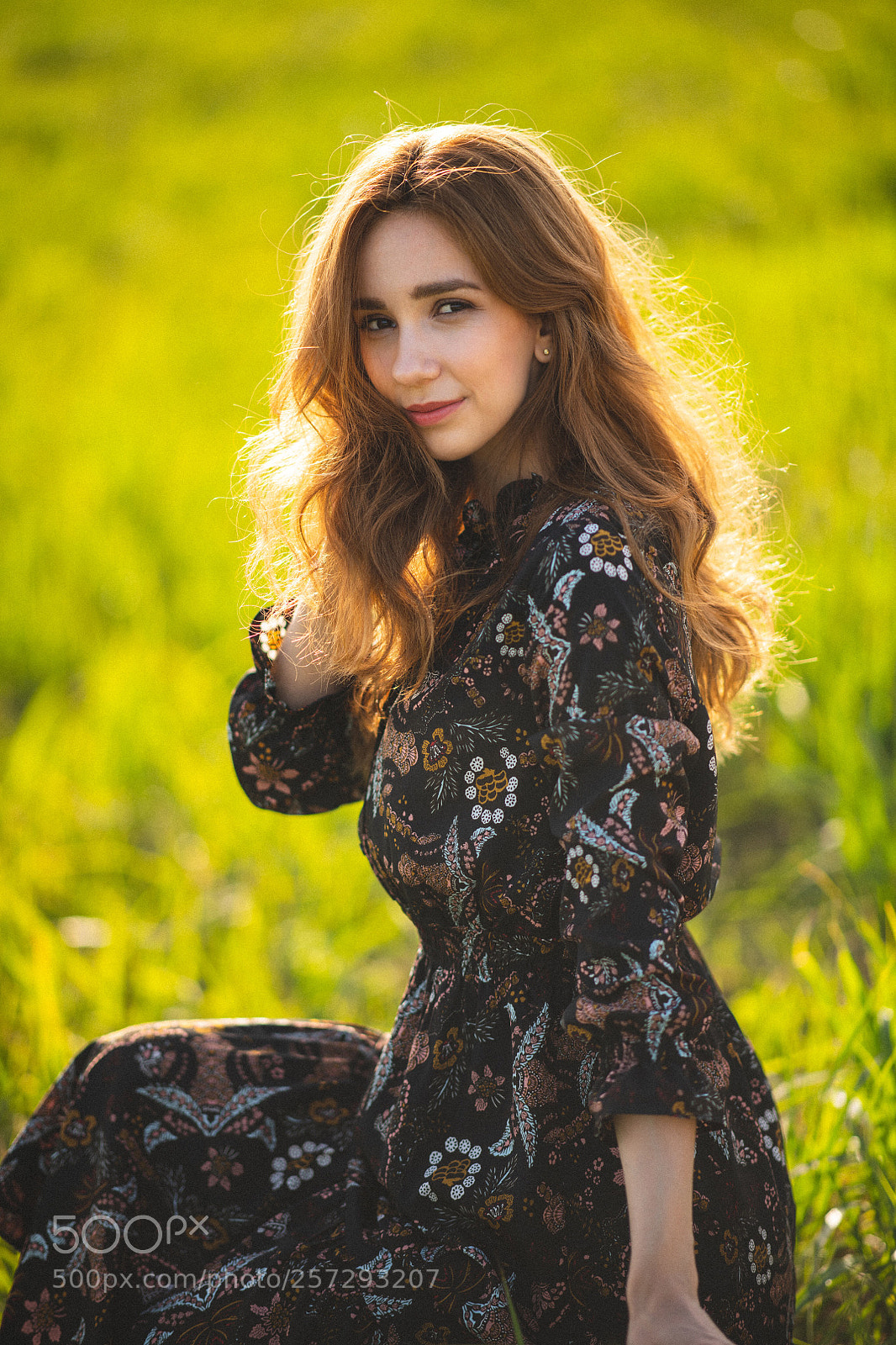 Nikon D850 sample photo. Forest photography