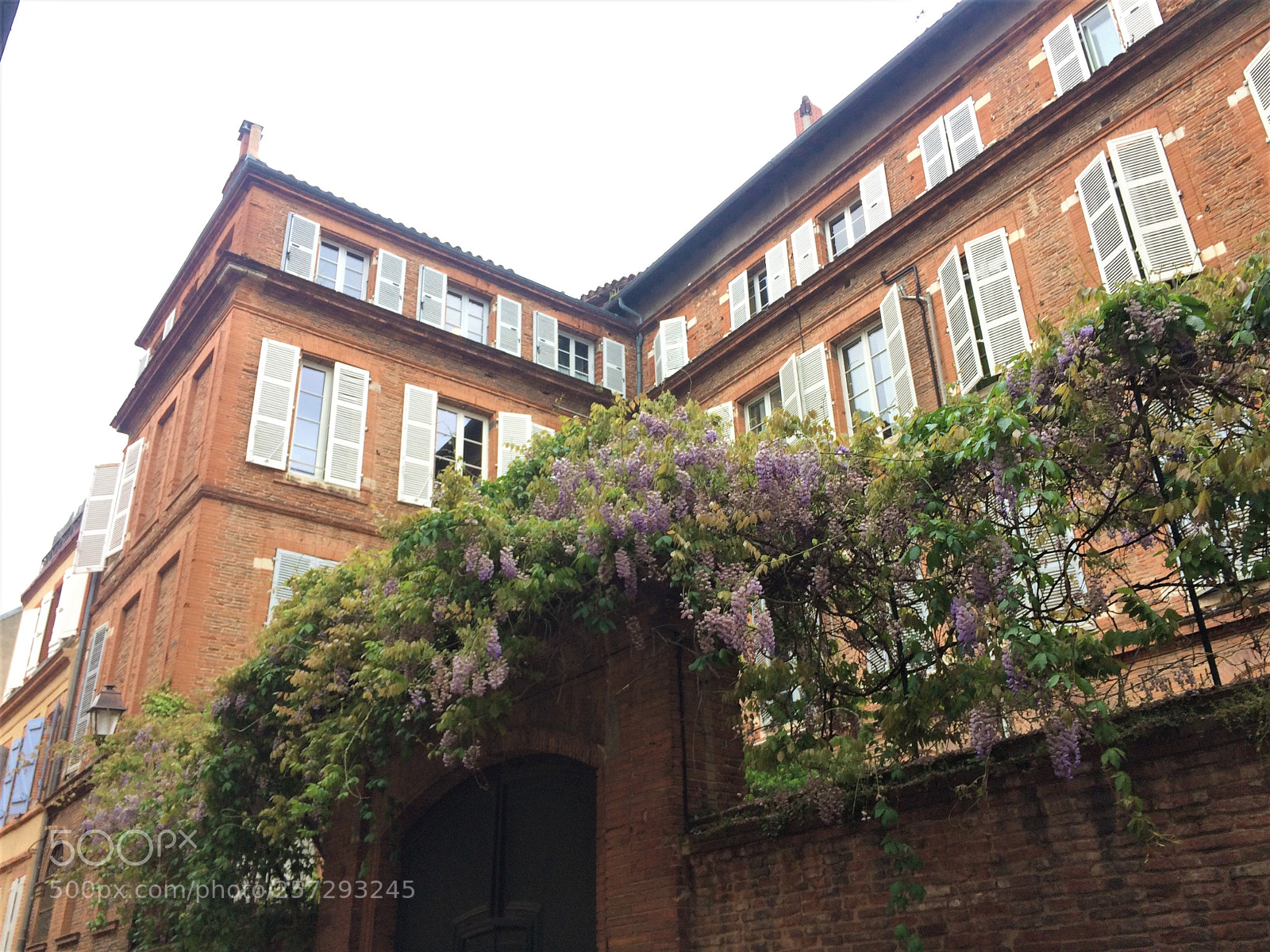 Apple iPhone 5s sample photo. Oh toulouse such a photography