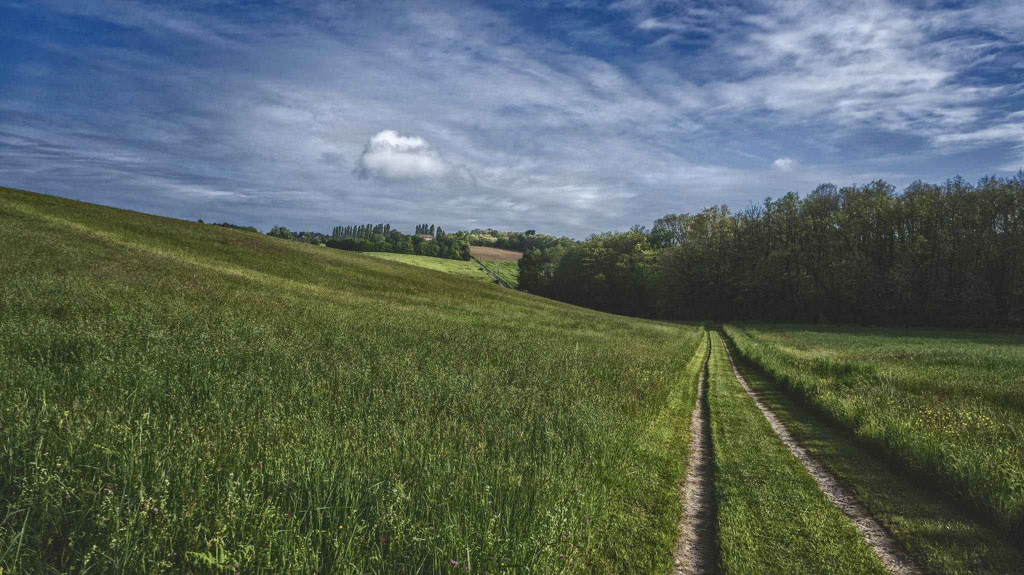Sony Alpha NEX-5R sample photo. The road home photography