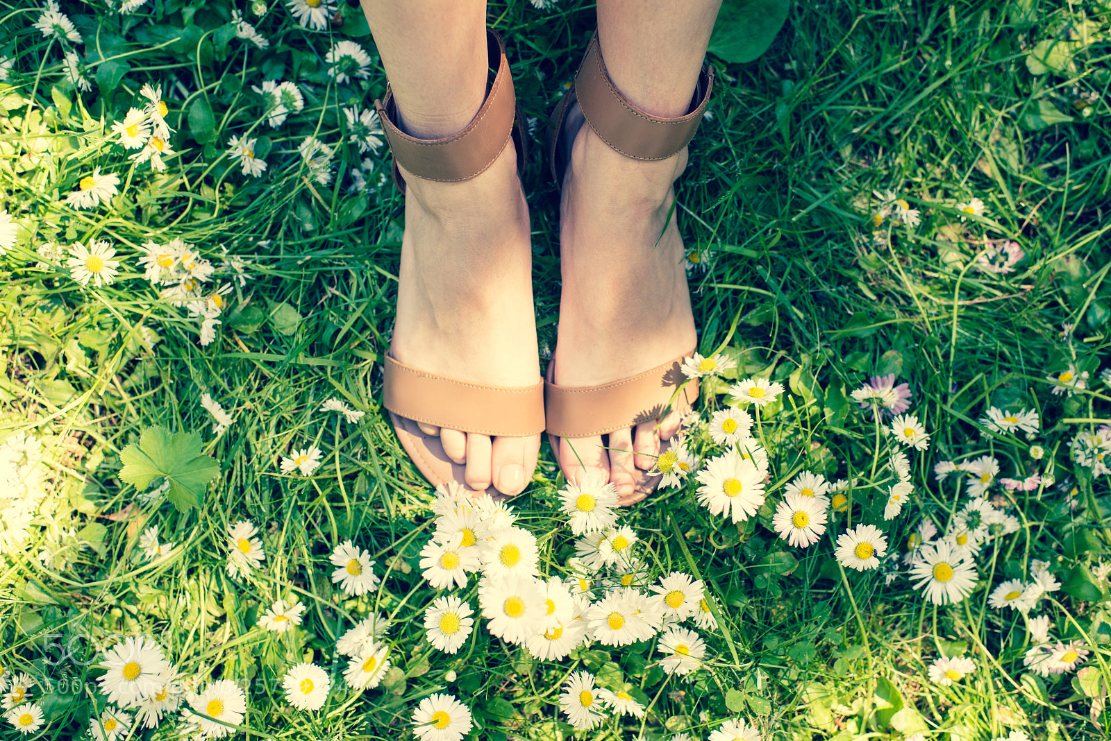 Nikon D800E sample photo. Summer photography